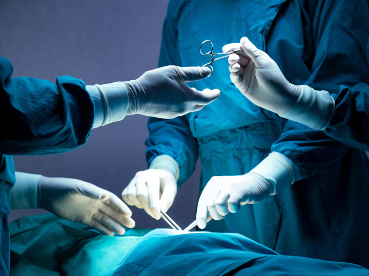 doctor and nurse medical team