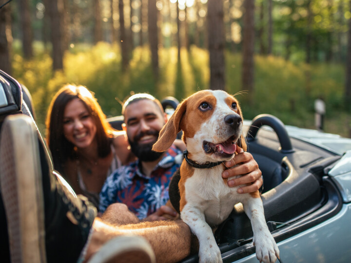 happy man and women in car with dog
