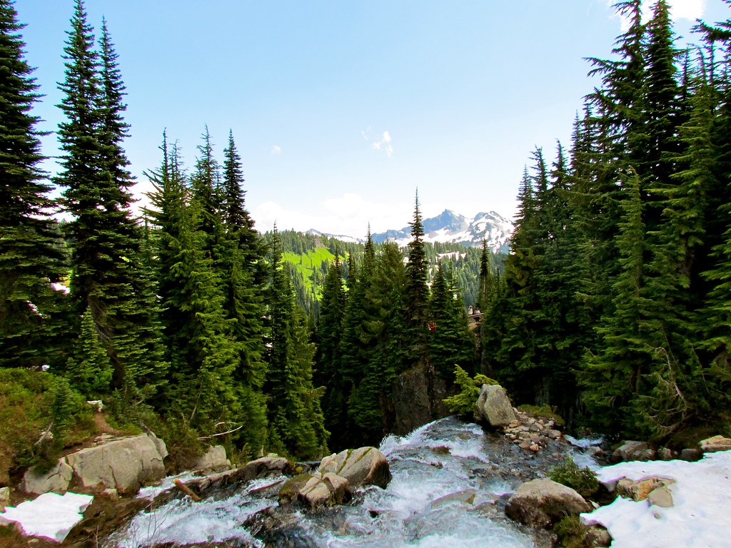 mt ranier free to share